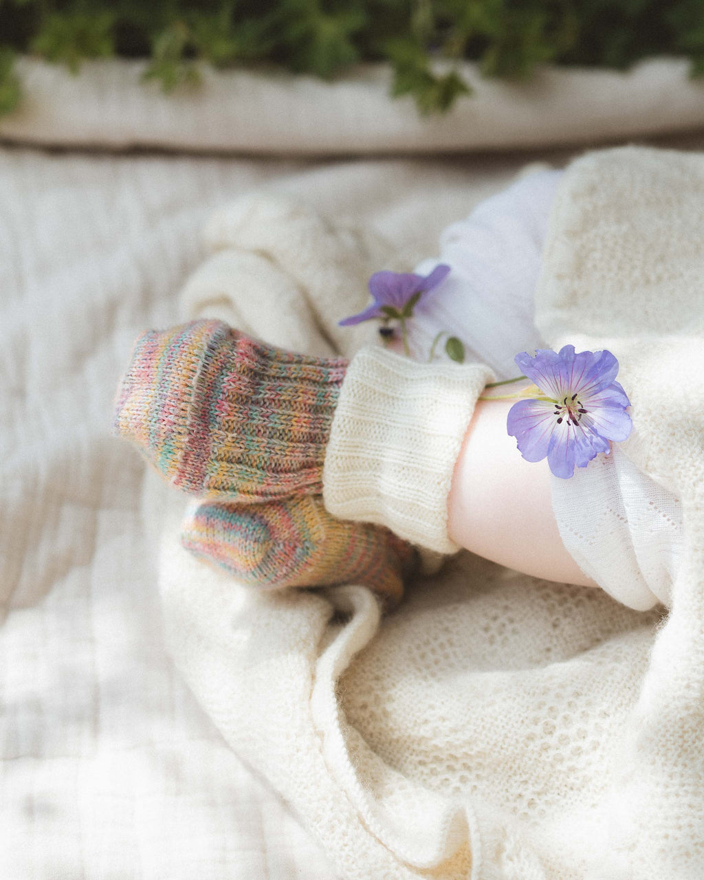 Baby socks wool and cotton - natural/multicolor