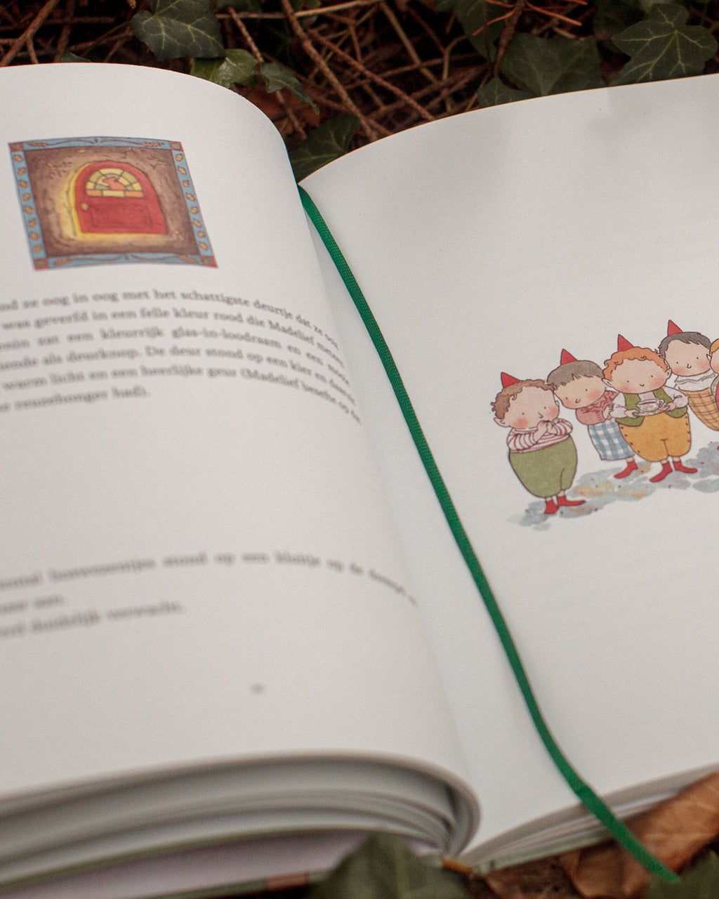 De kabouterkinderen