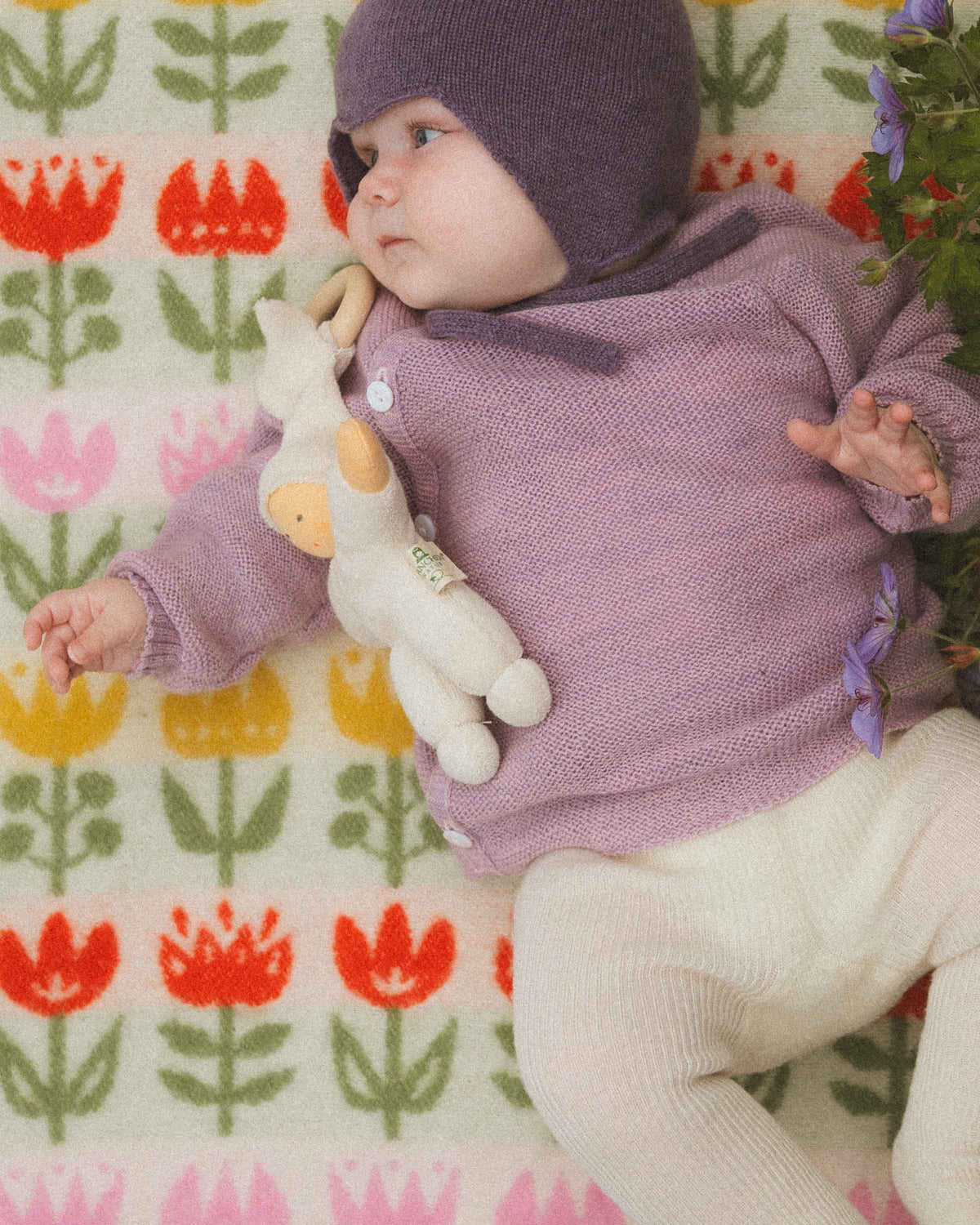Cardigan Organic Wool - lilac