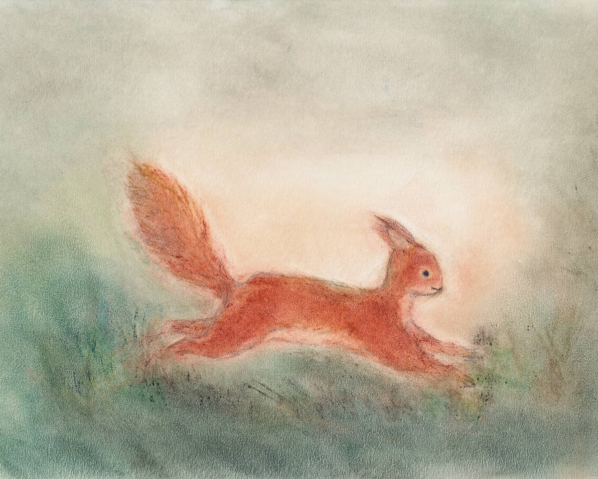 Postcard - squirrel