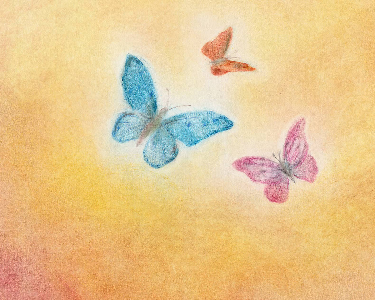 Postcard - butterflies 