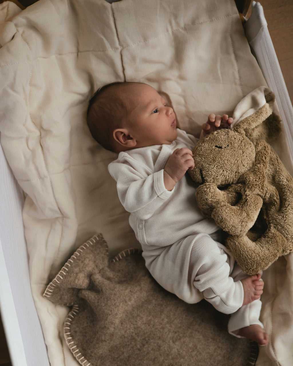 Alfie for Ziloen web-11