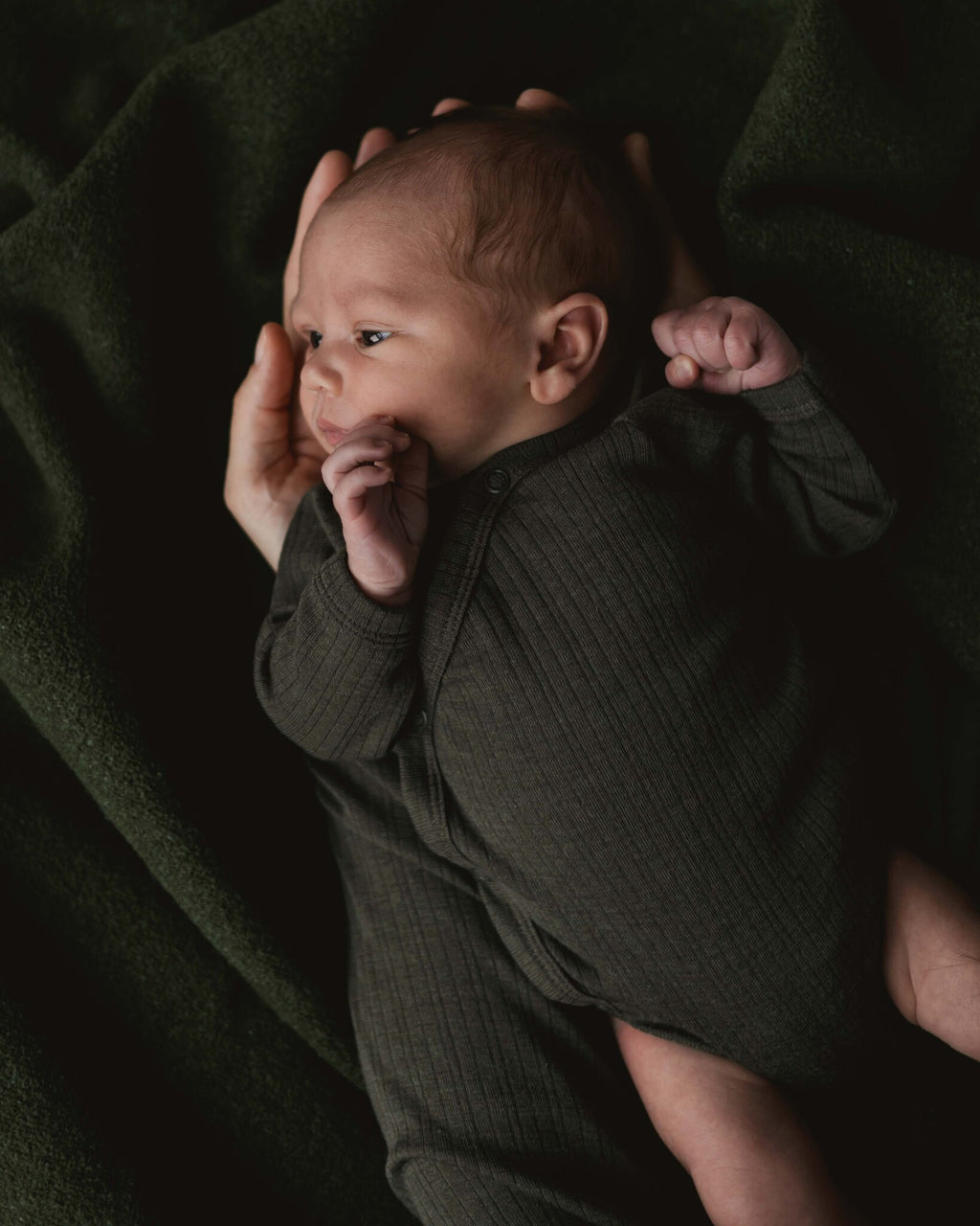 alfie-for-ziloen-web-15