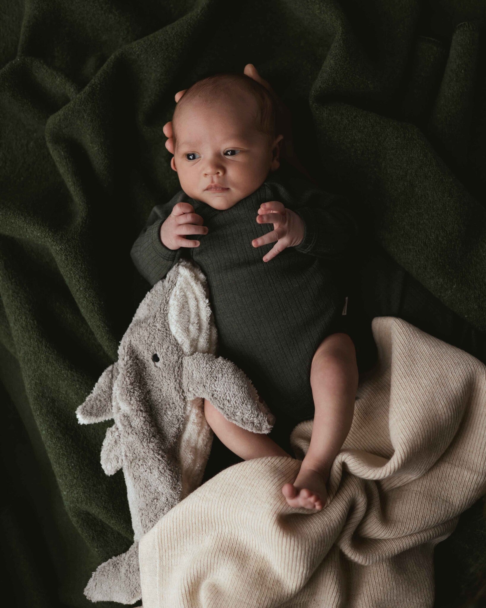 Alfie for Ziloen web-21