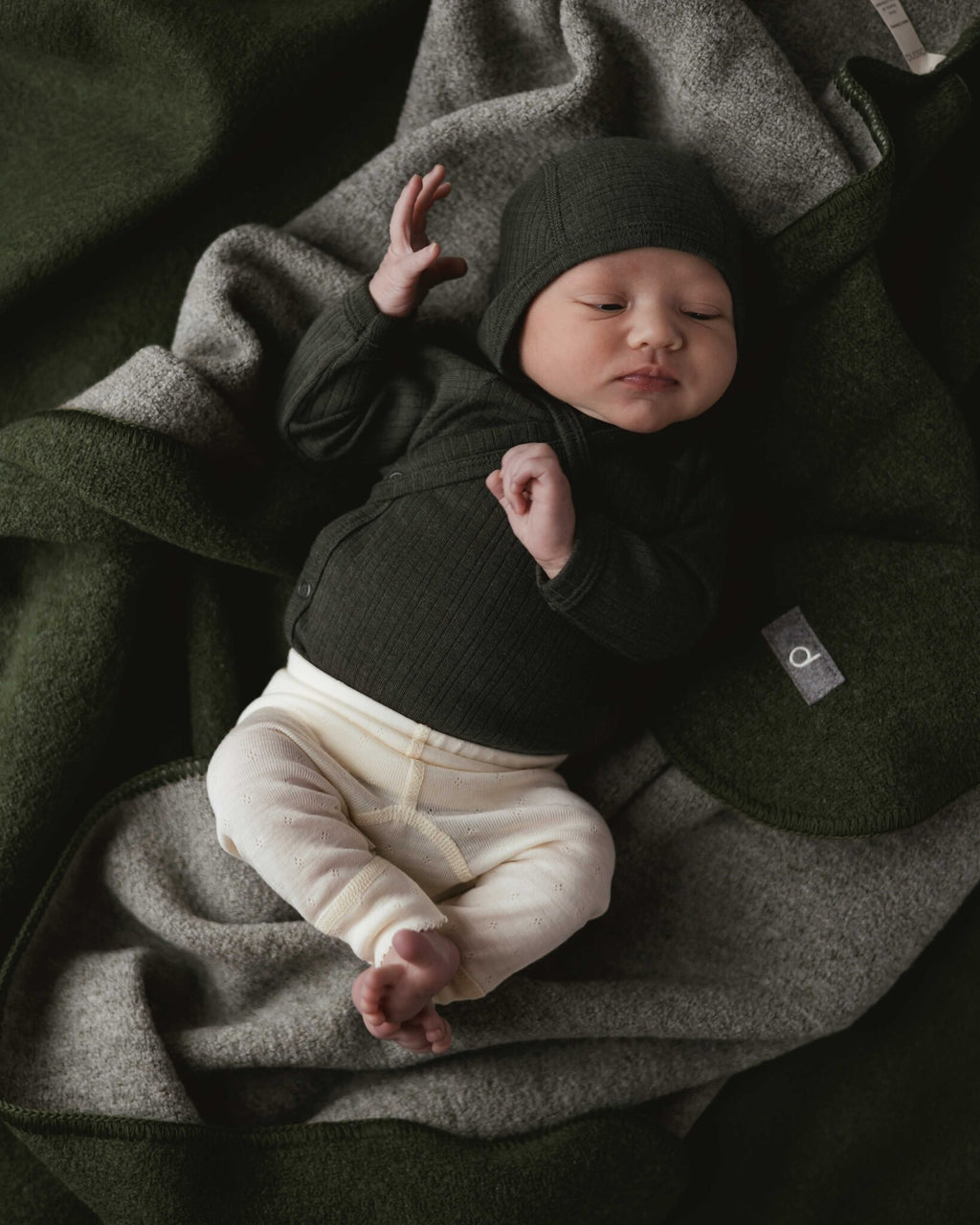 Alfie for Ziloen web-24