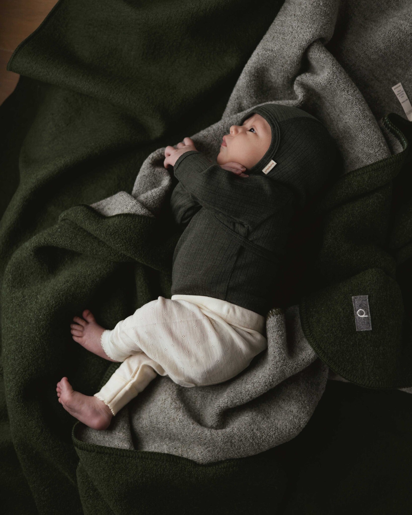 Alfie for Ziloen web-26
