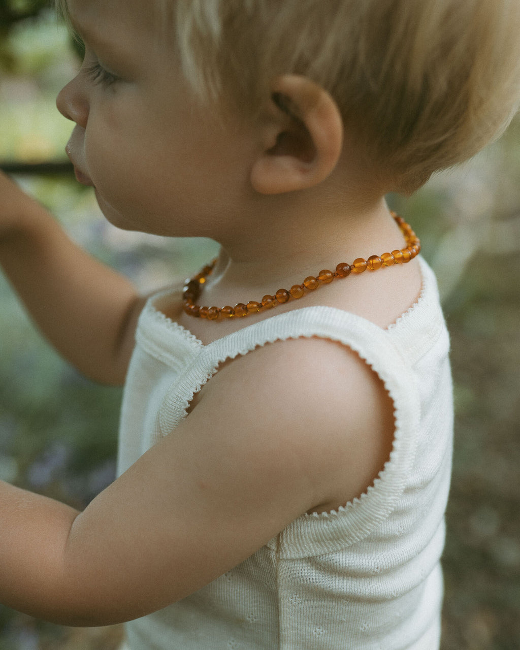amber-baby-cognac-atriekepronkdefrel-ziloenc