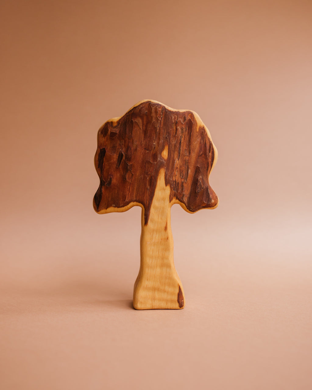 Bikeho eik 5732 hout Ziloen-311