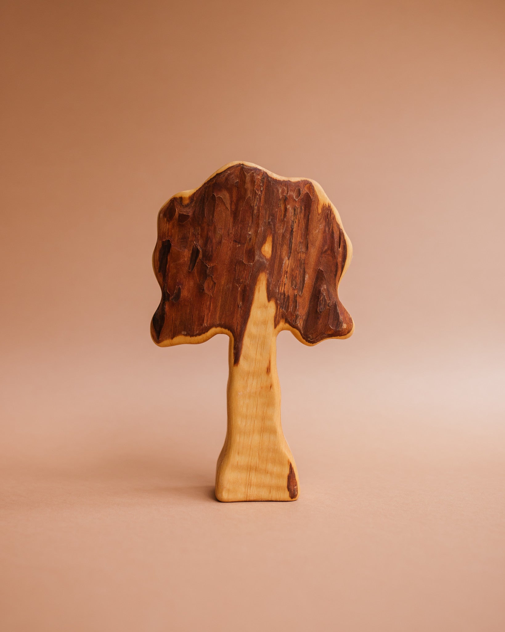 Bikeho eik 5732 hout Ziloen-311