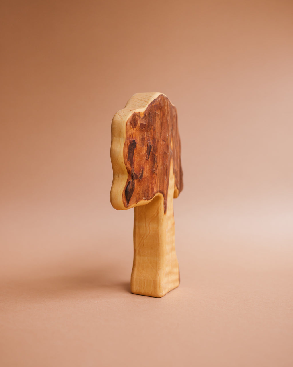 Bikeho oak tree wood 5732 Ziloen-324