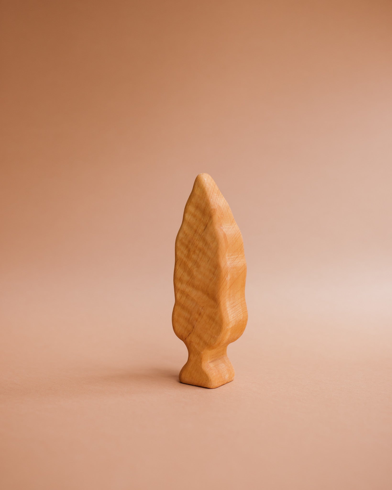 Bikeho populier boom groot 5733 Ziloen-305