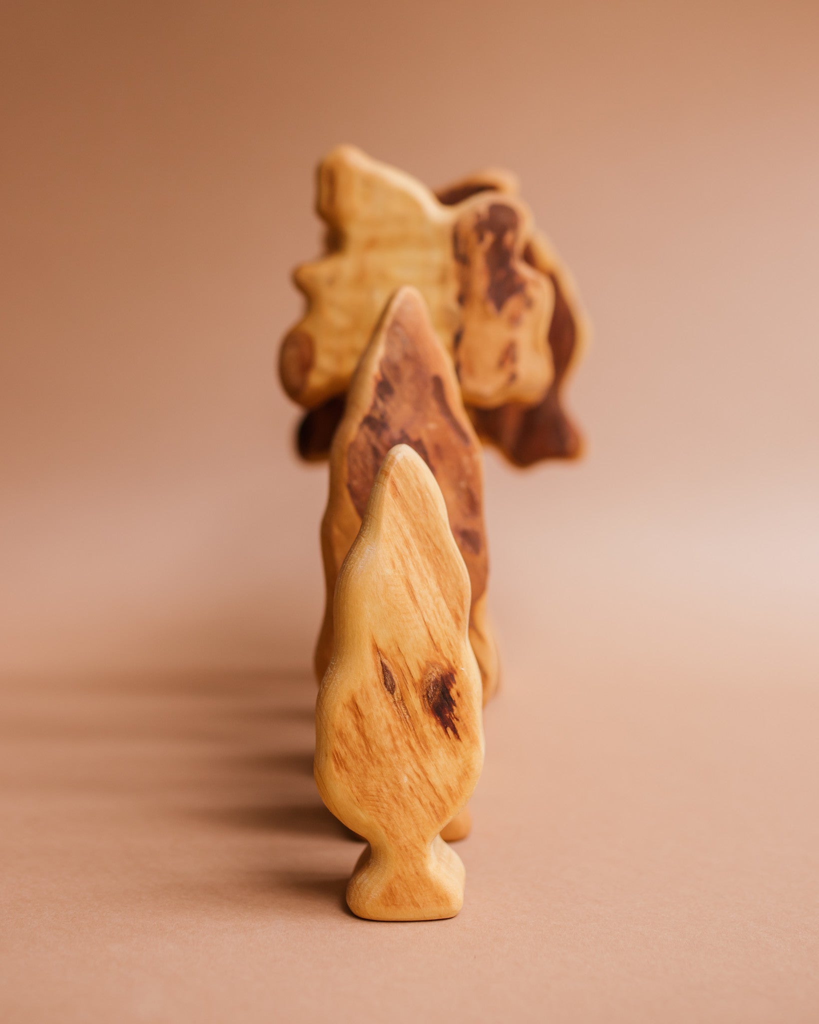 Bikeho tree set wood Ziloen-346