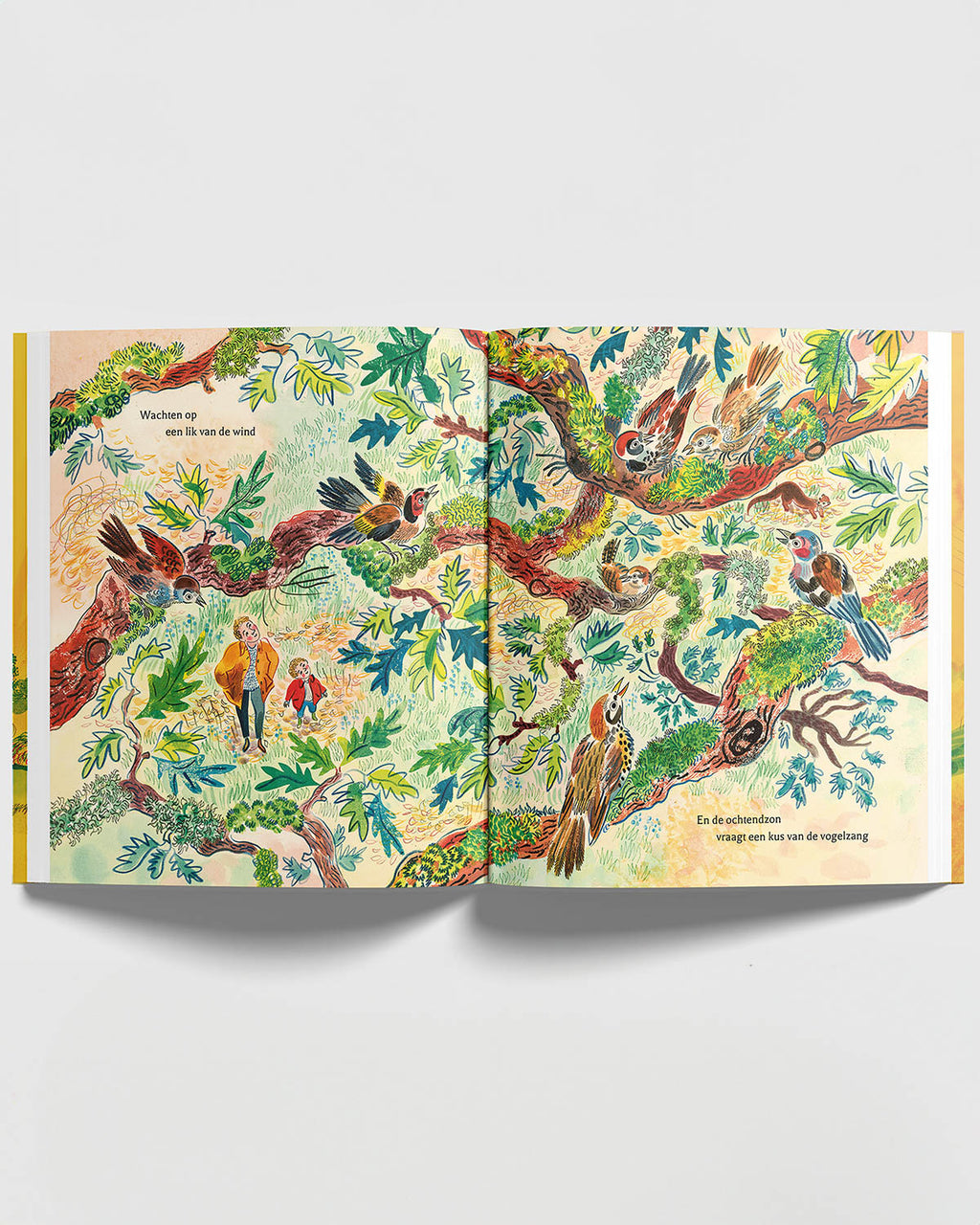 Boek - de wereld van morgen_-4