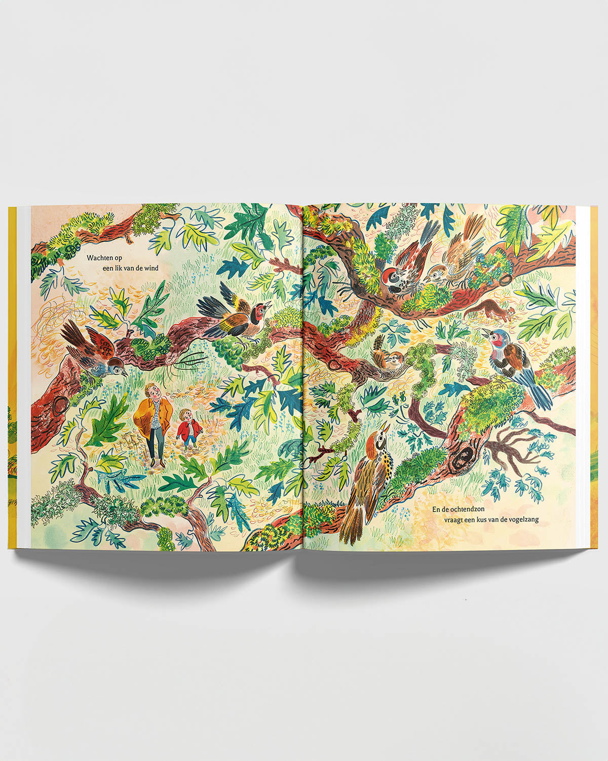 Boek - de wereld van morgen_-4