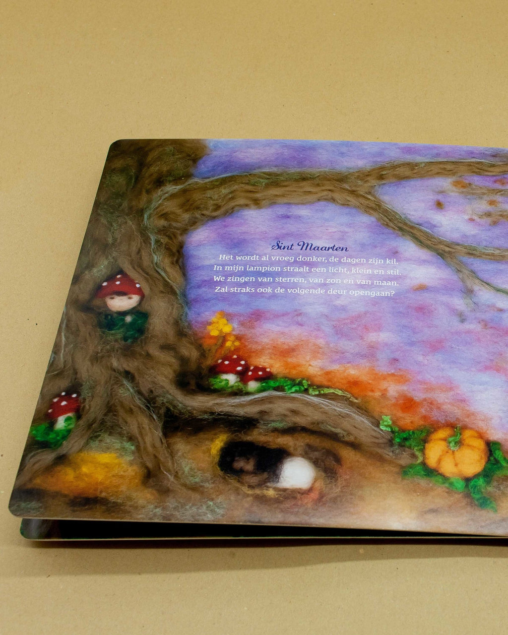 Boek wij vieren feest herfst winter_2