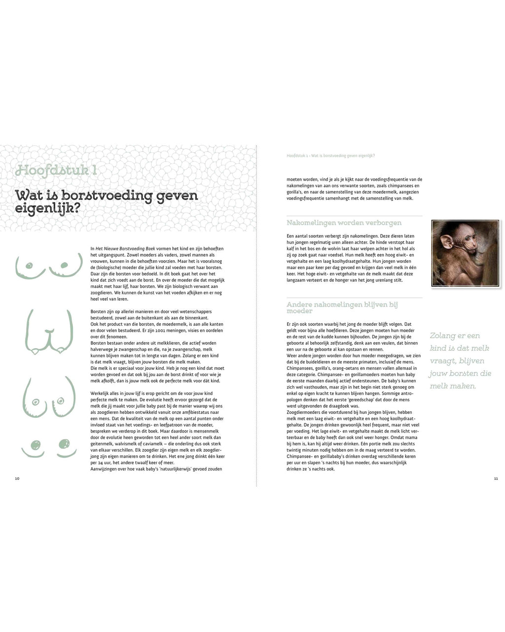 Borstvoedingboek stefan gonneke