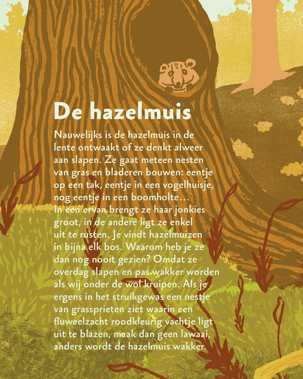 boycott_hazelmuisje_Zo-slapen-dieren-web3