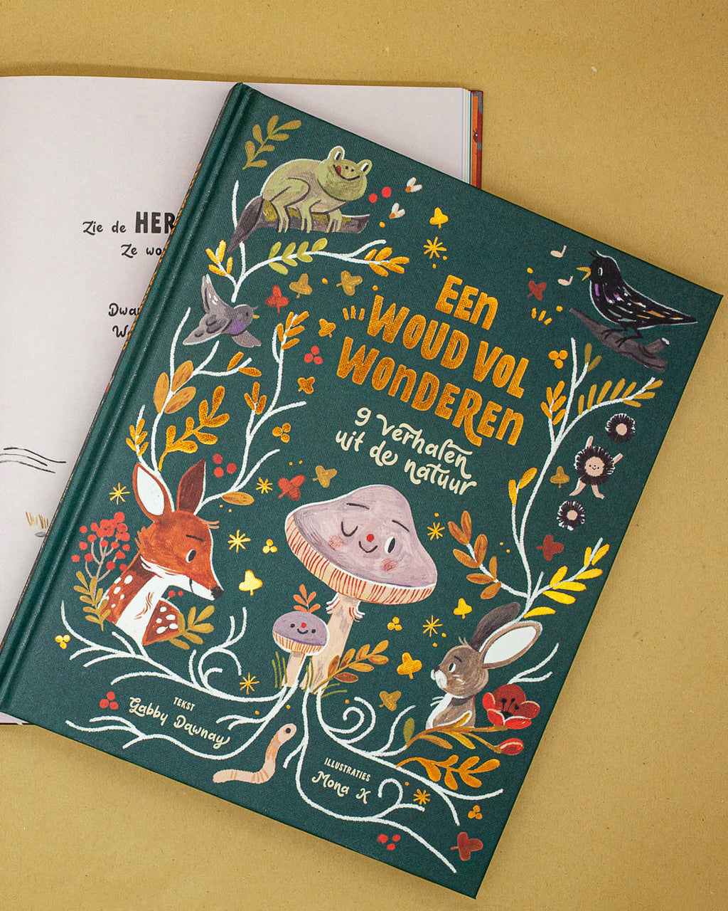 Christofoor Een woud vol wonderen prentenboek