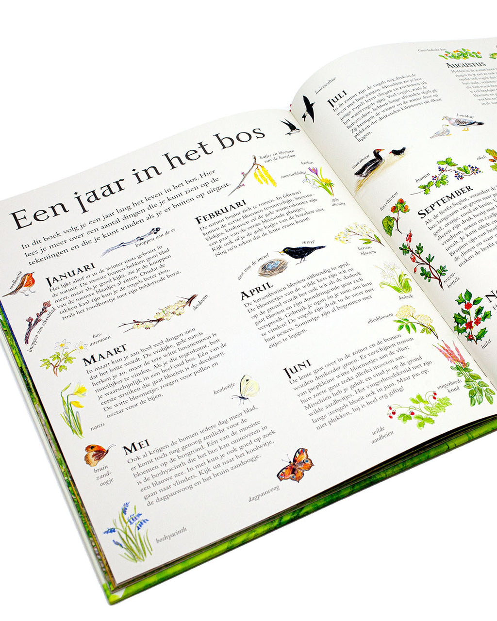 Christofoor Het bos van muis Alice Melvin