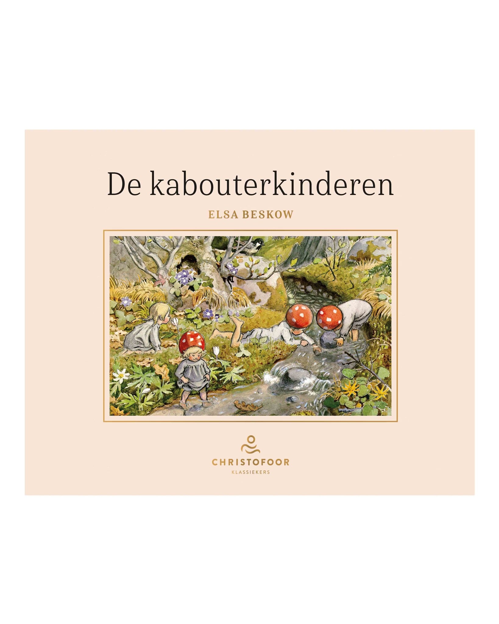 De kabouterkinderen 1