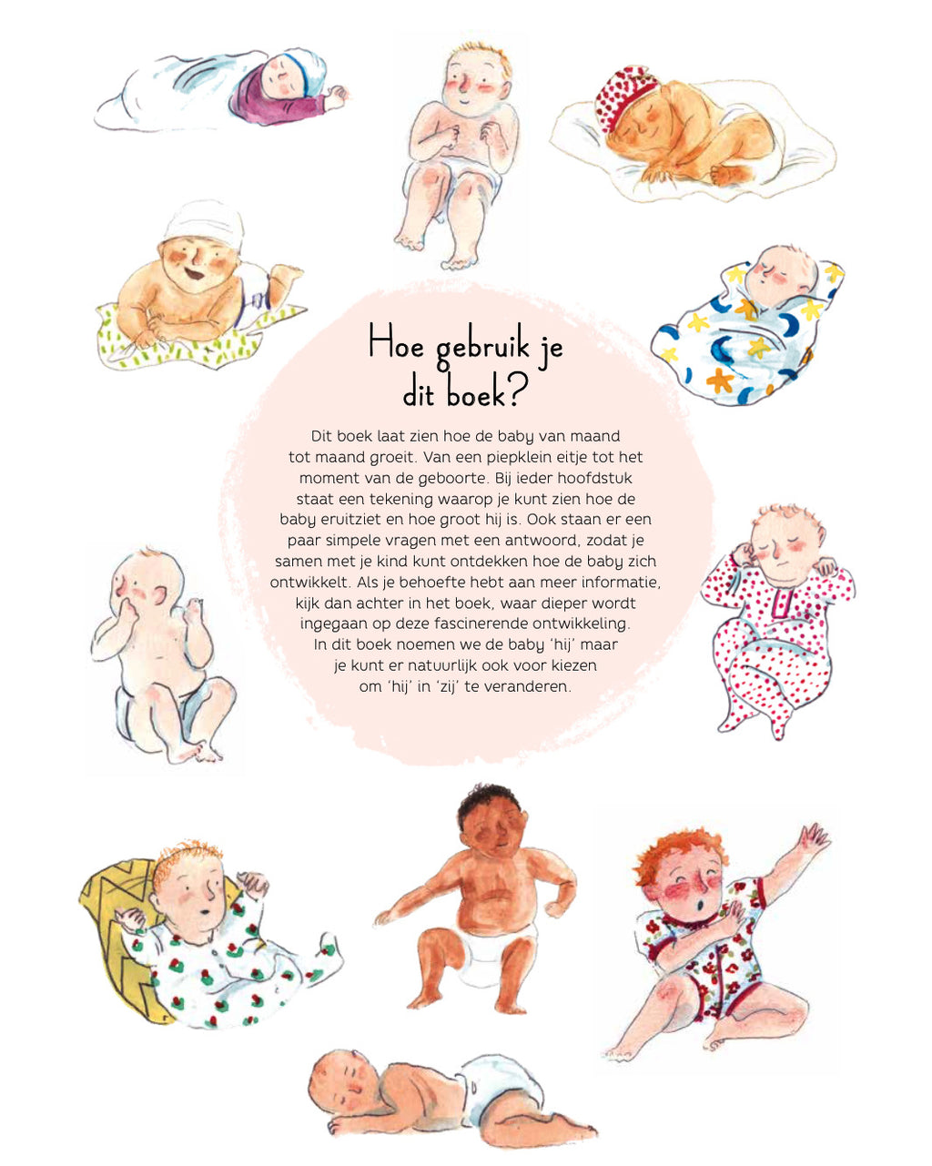 de kleine kapitein 2