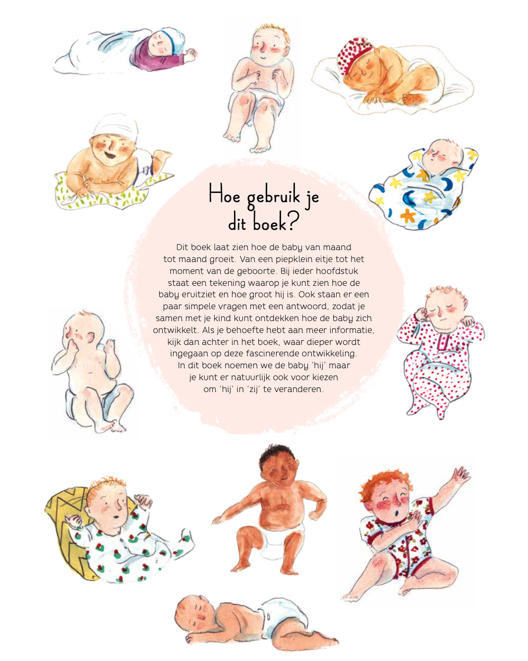 de kleine kapitein 2