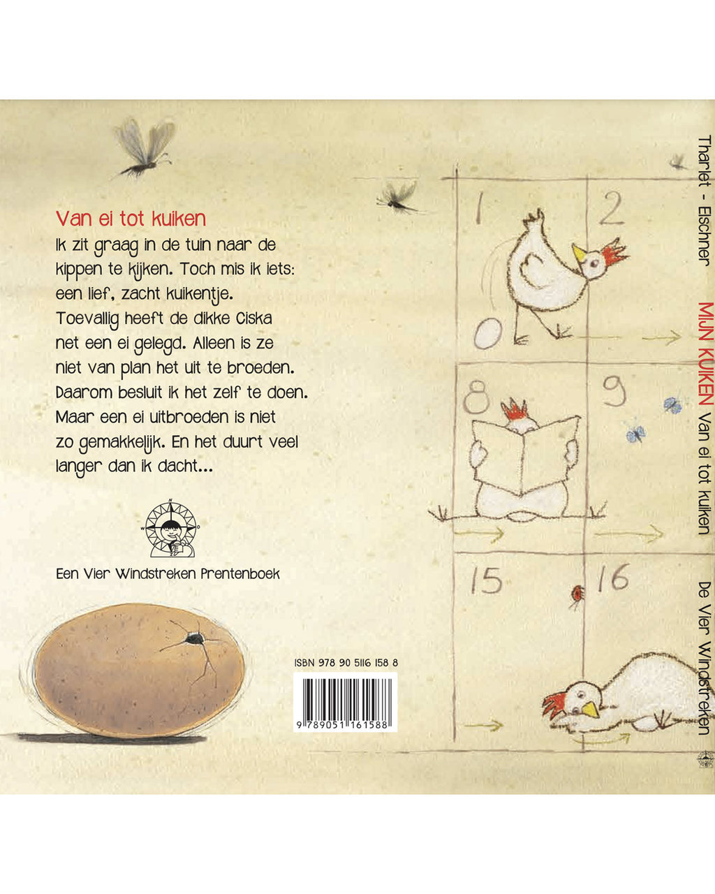 De vier windstreken - mijn kuiken