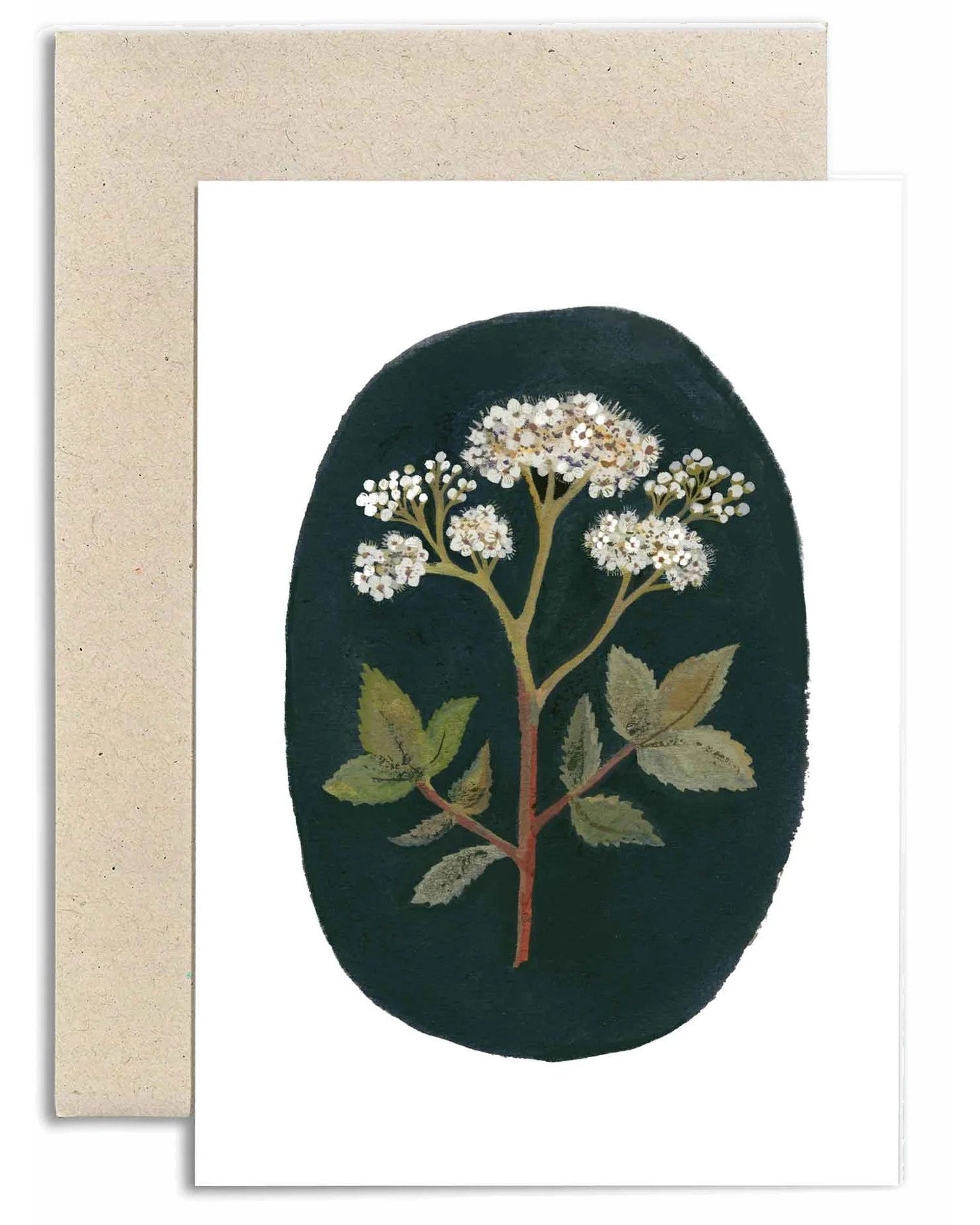 Gemma Koomen kaart meadow sweet
