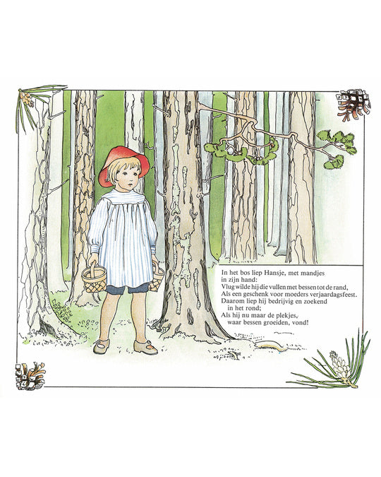 Hansje in 't bessenland book