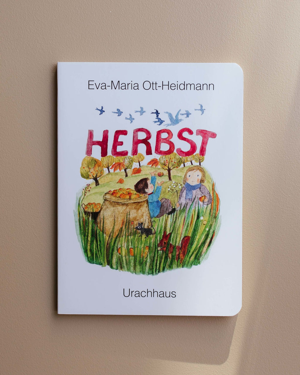 herbst-eva-maria-ott-heidmann-kinder-boek-herfst