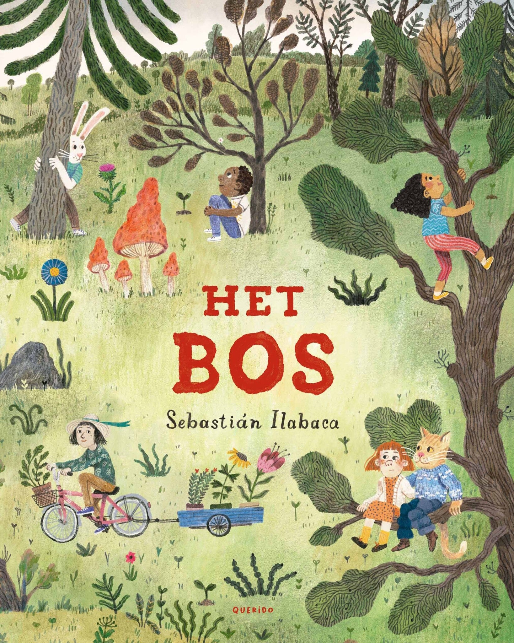 Het bosjpg