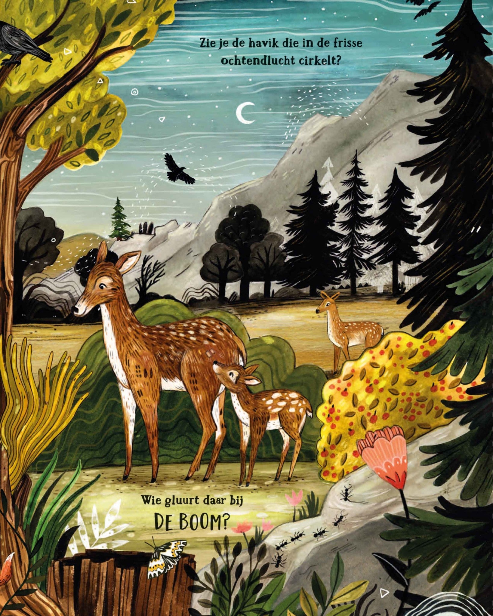 Het geheime bos Sandra Dieckmann-4