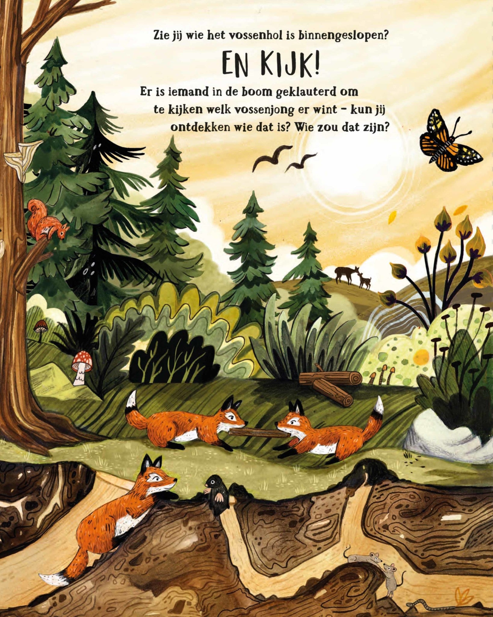 Het geheime bos Sandra Dieckmann-6