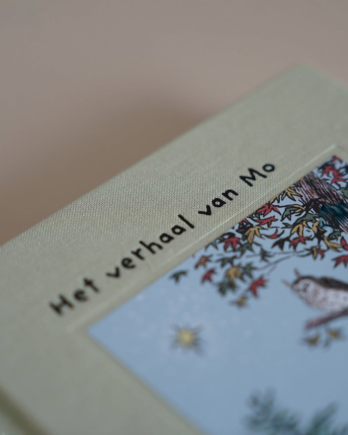 Het verhaal van Mo-2
