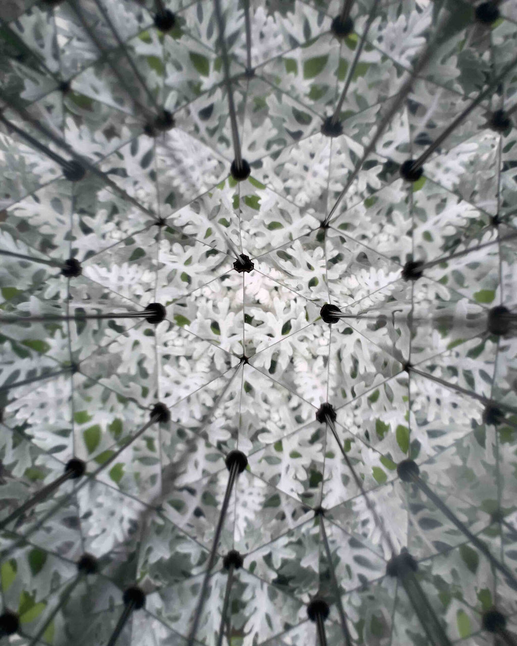 Huckleberry Kaleidoscoop 4