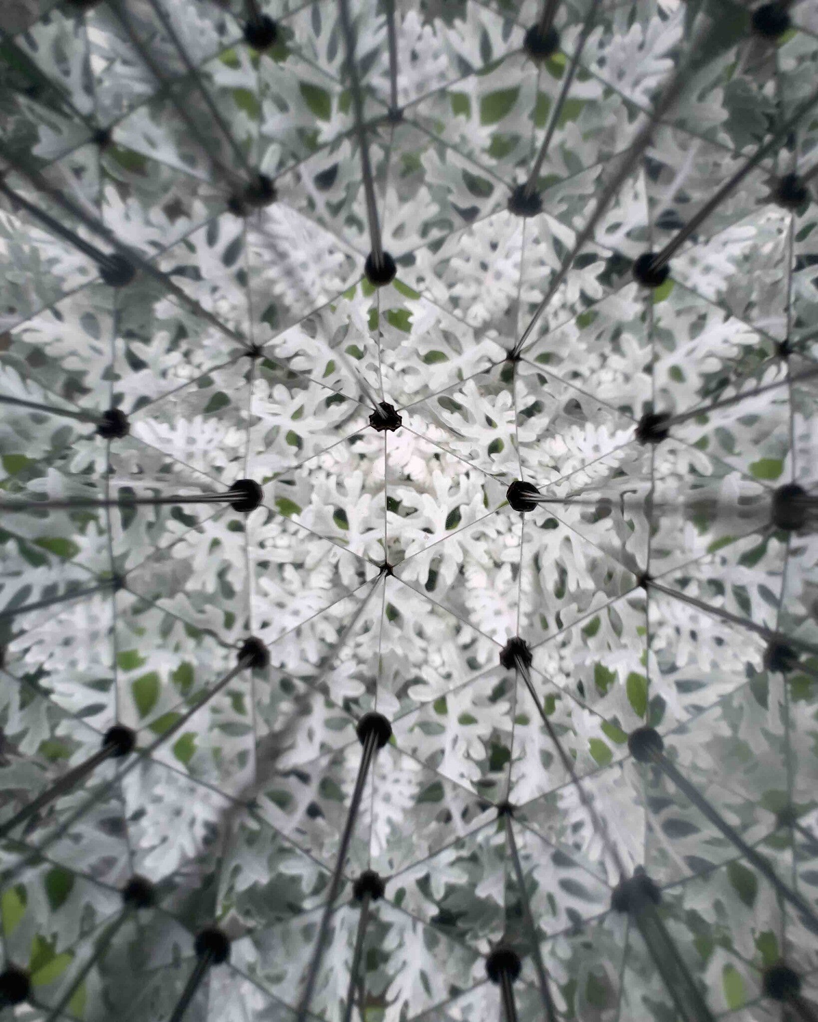 Huckleberry Kaleidoscoop 4