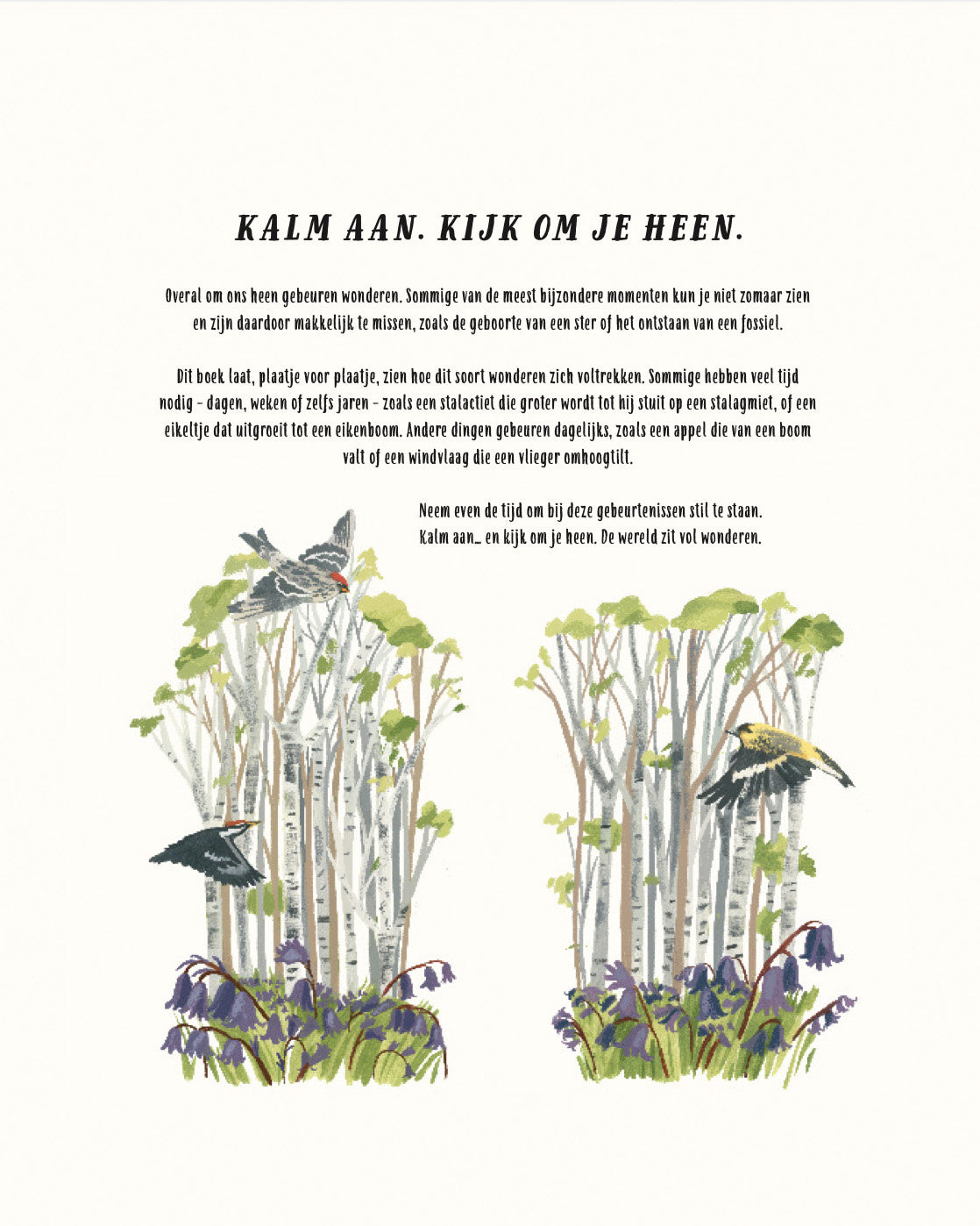 Kalm aan en kijk om je heen_2