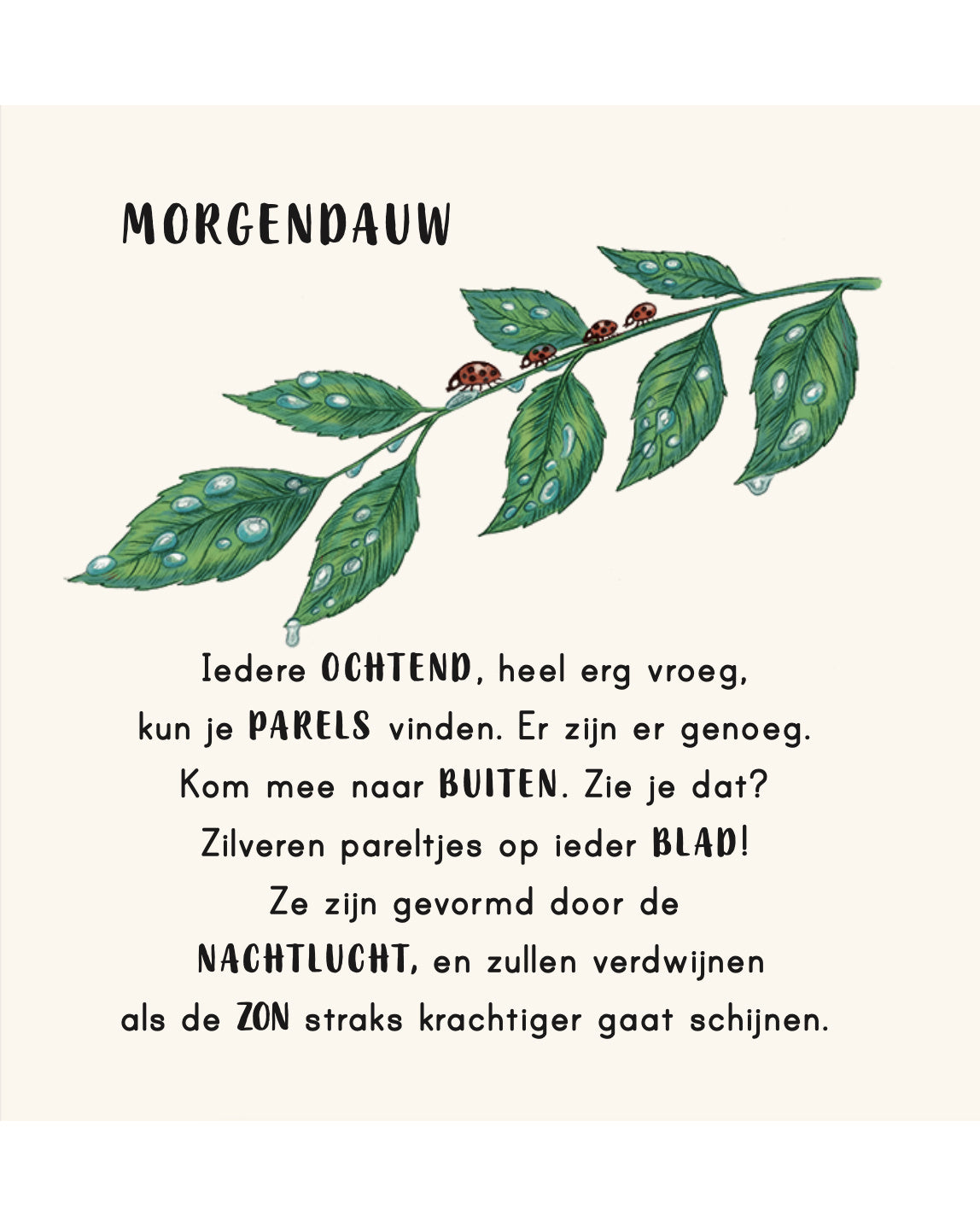 Kalm aan in je buurt_2