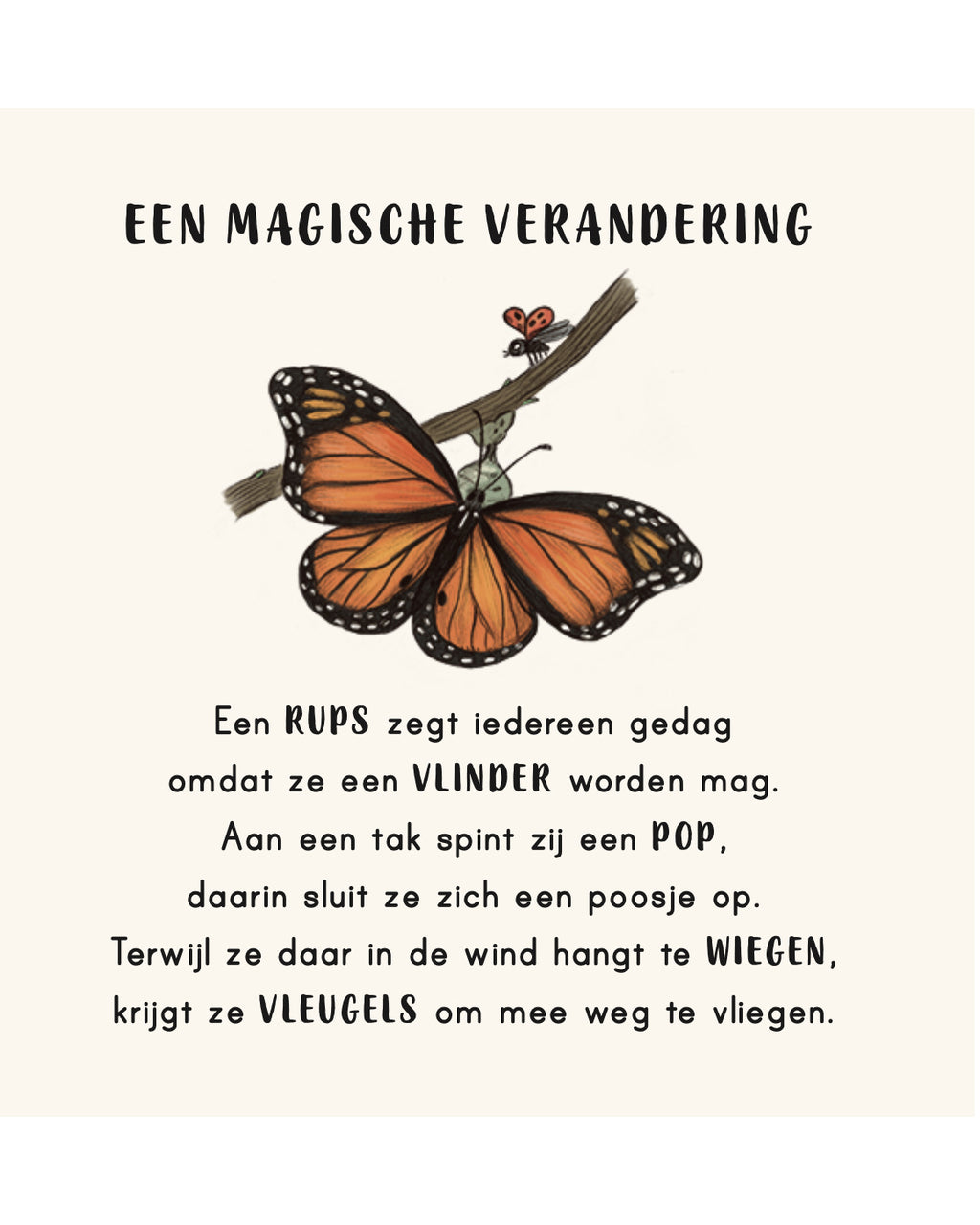 Kalm aan in je buurt_4