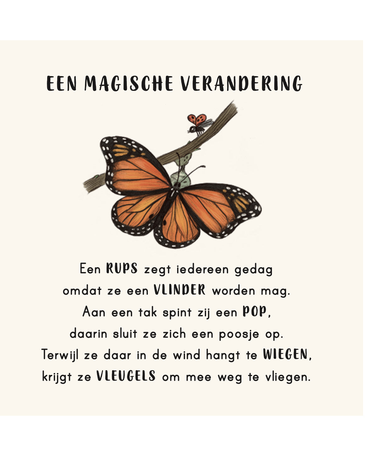Kalm aan in je buurt_4