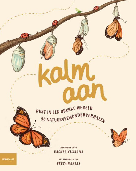 kalm aan