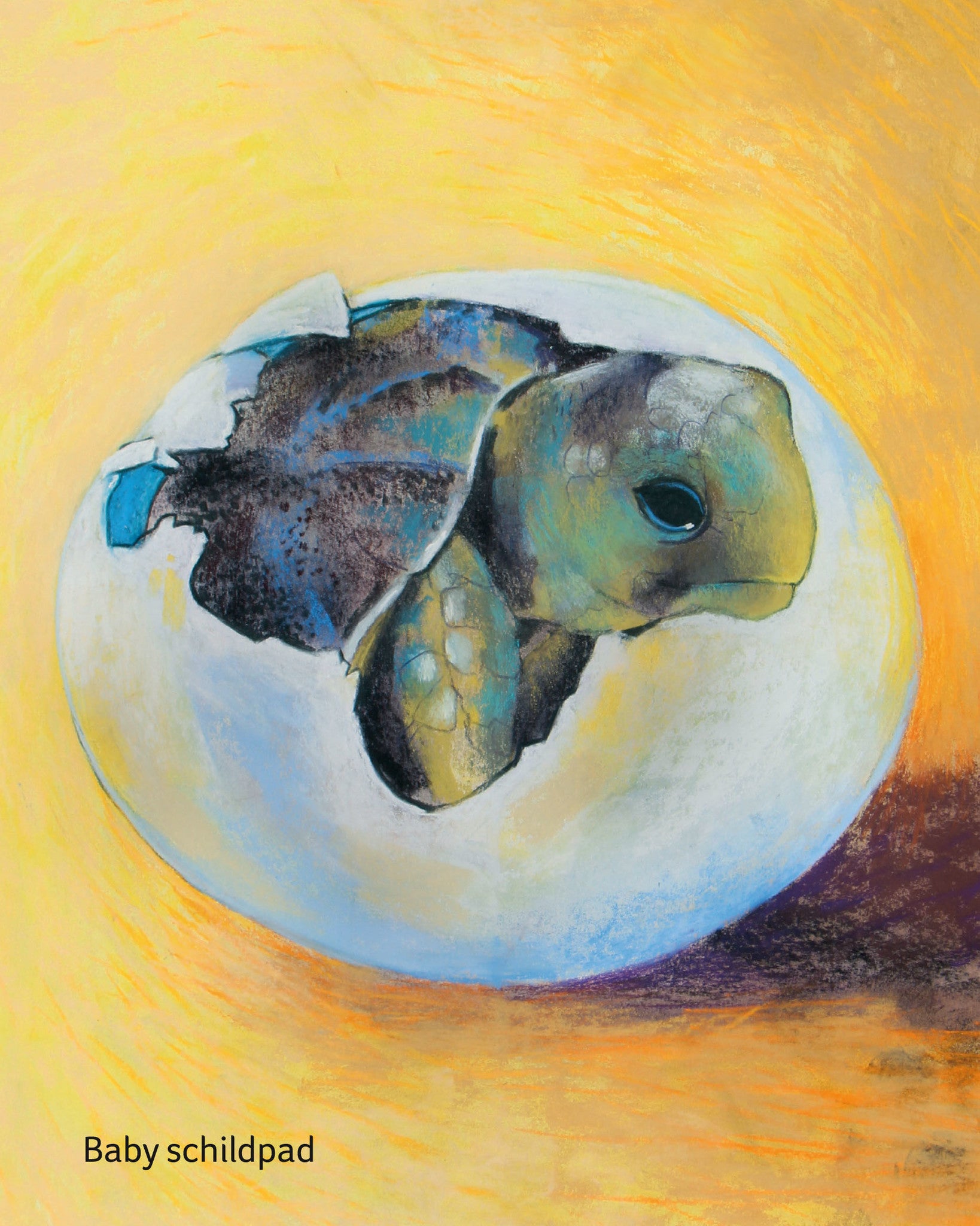 Klein babydierenboek inkijk baby schildpad
