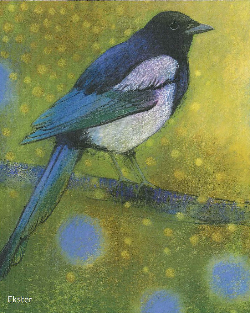 Klein vogel boek Loes Botman