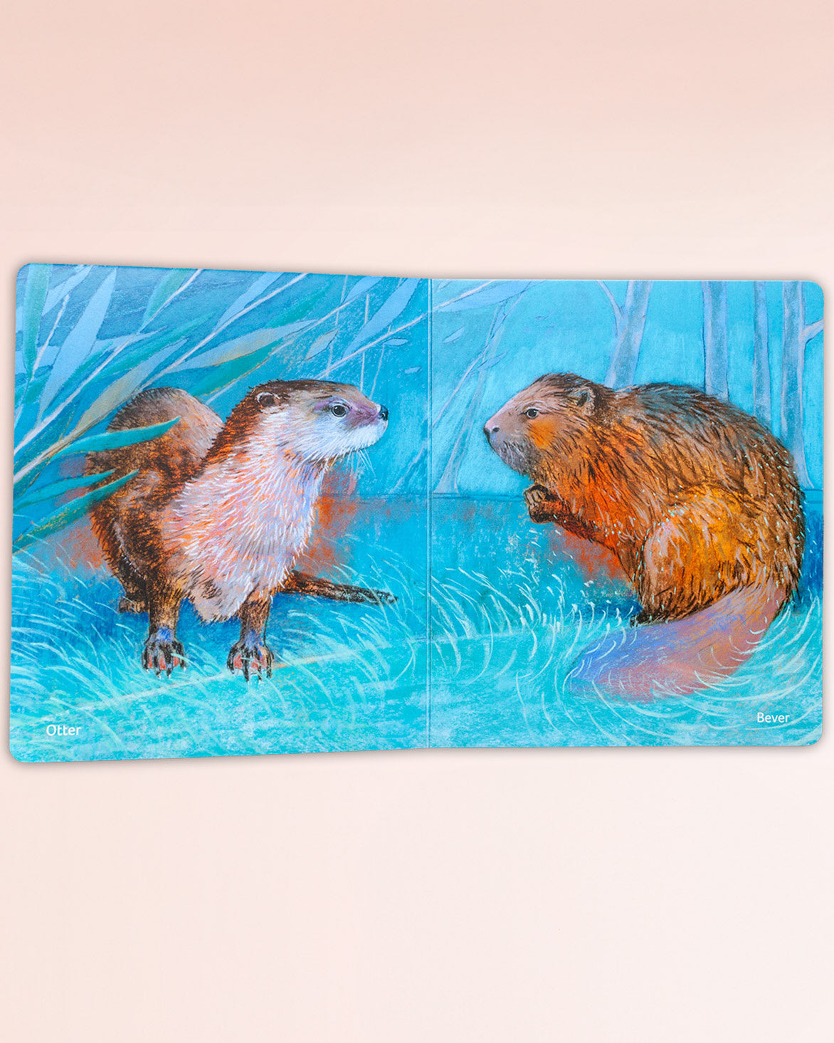 Klein waterdieren boek_