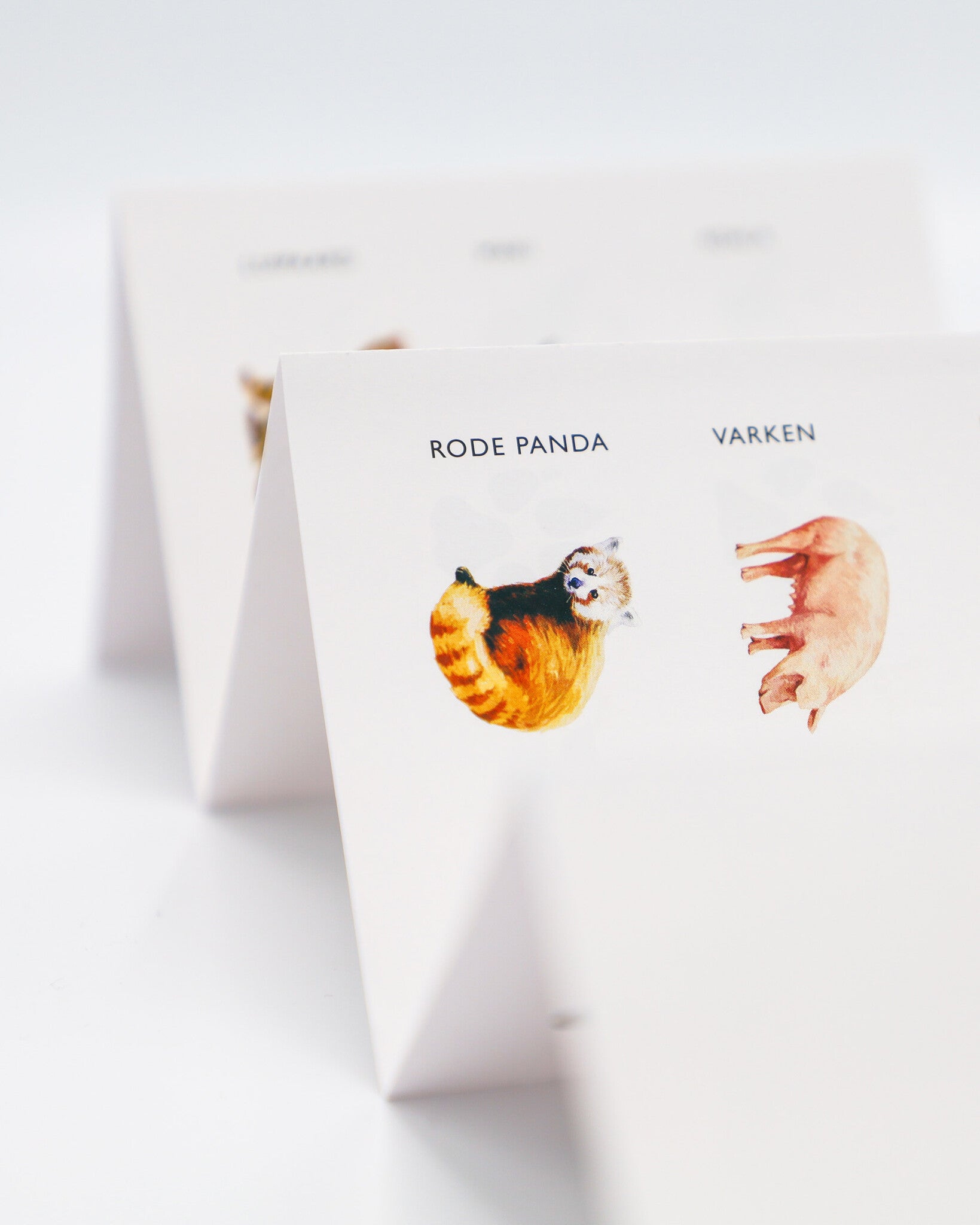Kosmos Dieren & Sporen - Memory Spel_4