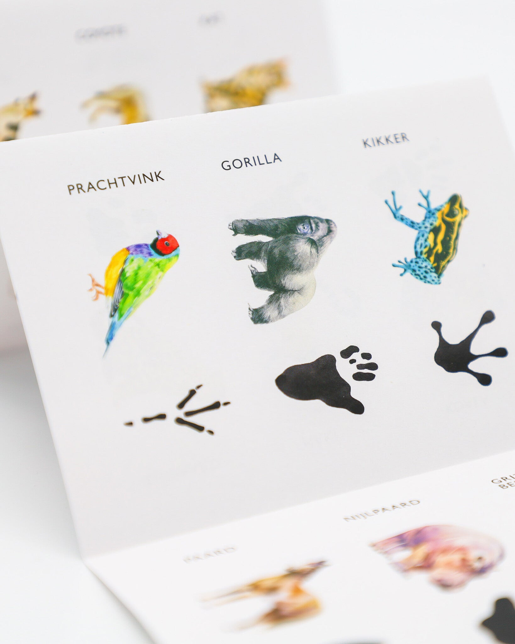 Kosmos Dieren & Sporen - Memory Spel_5