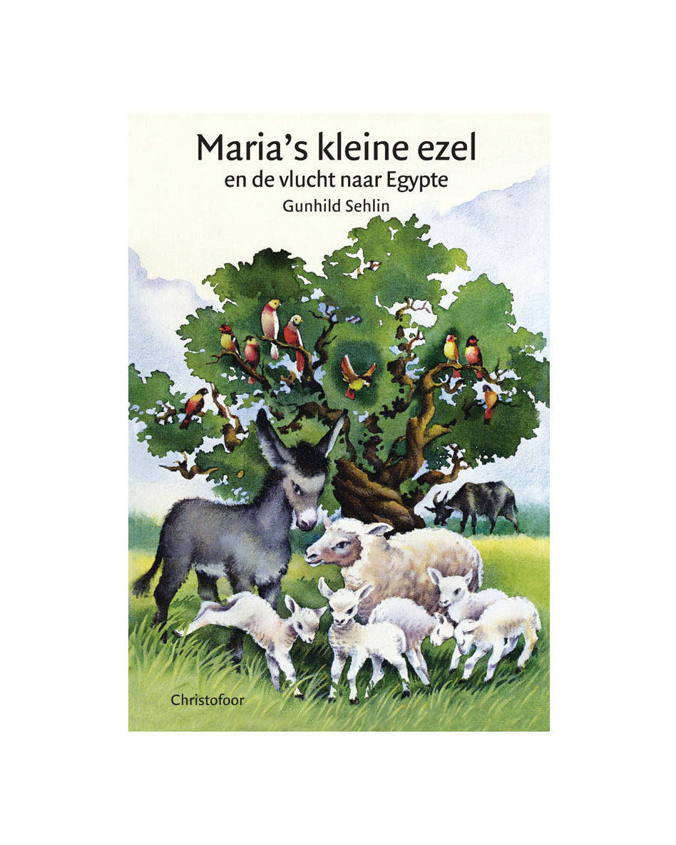 Maria's kleine ezel