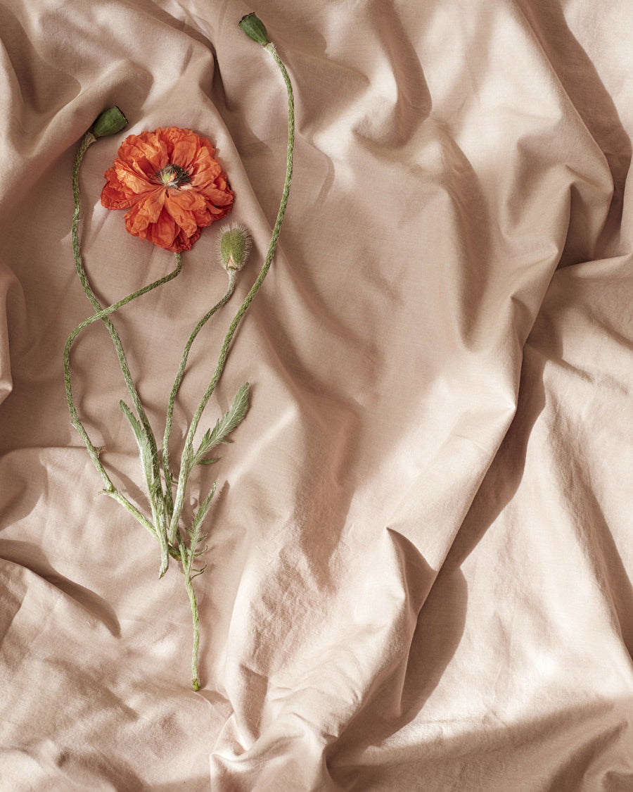 Midnatt-Fitted-sheet-Wilted-dekbedovertrek