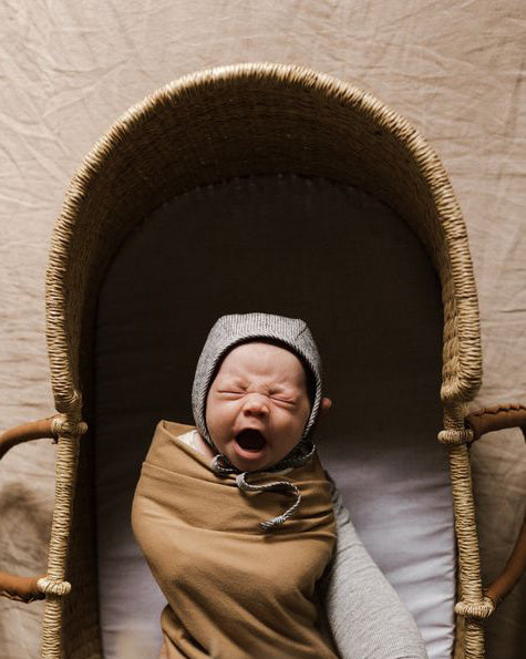moses basket briar