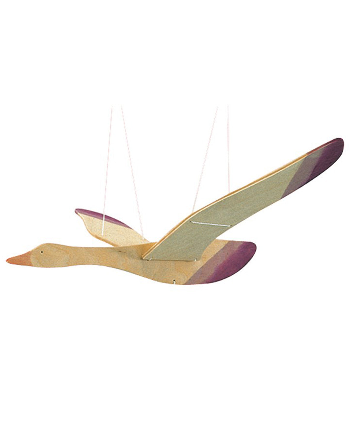 Ostheimer - vogel 5520065